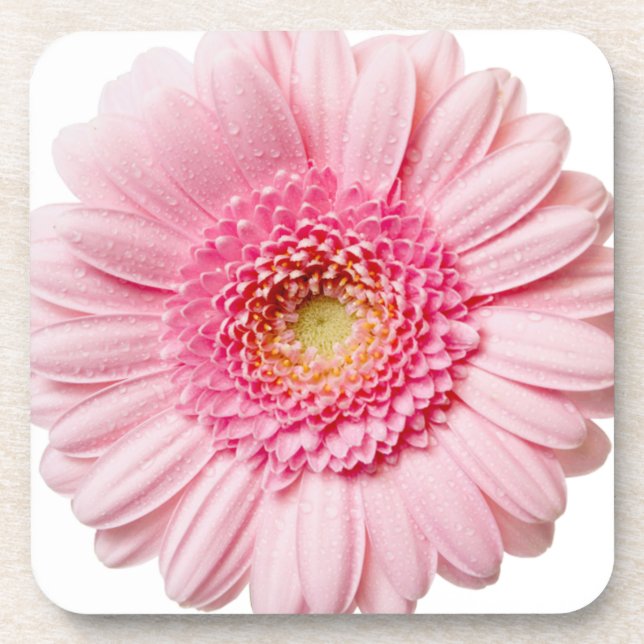 Dessous-de-verre Gerbera Daisy rose (Devant)