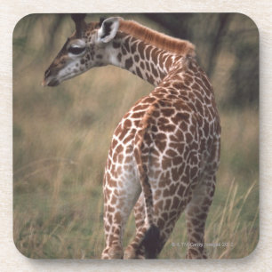 Dessous-de-verre Girafe 2 de Massai