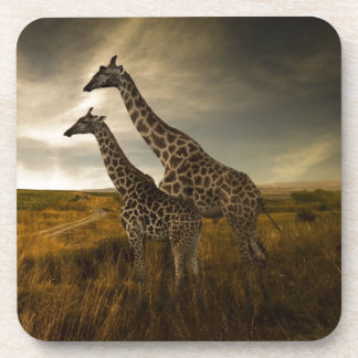 Dessous-de-verre Girafes et le paysage