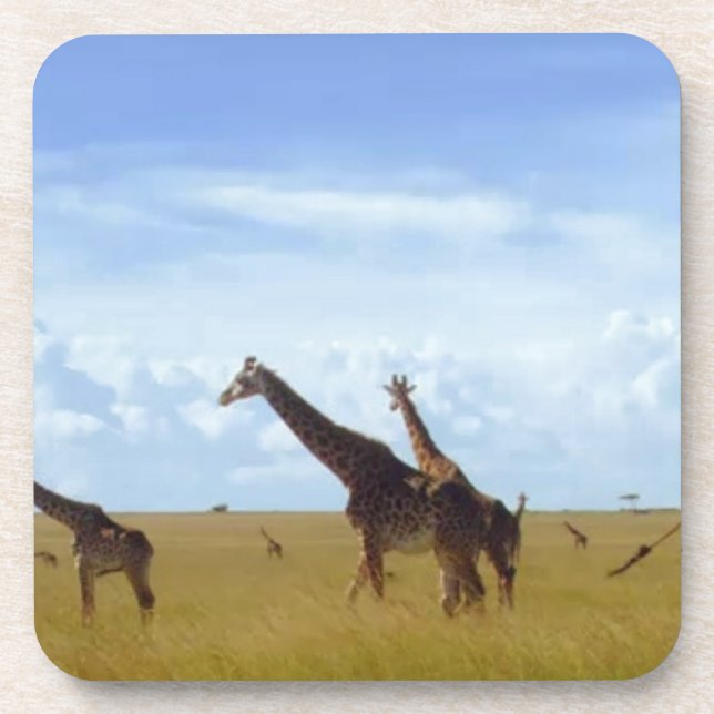 Dessous-de-verre Giraffes africaines Safari (Devant)
