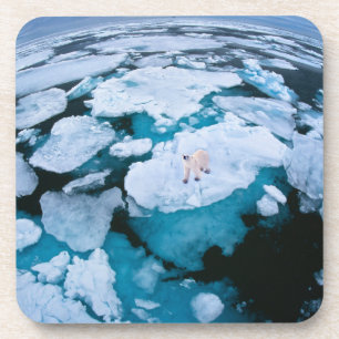 Dessous-de-verre Glace et neige   Ours polaire, Océan Arctique, Sva