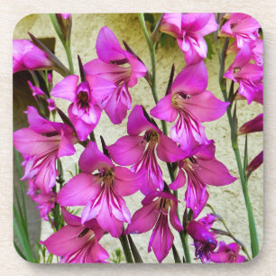 Dessous-de-verre Gladiolus byzantin