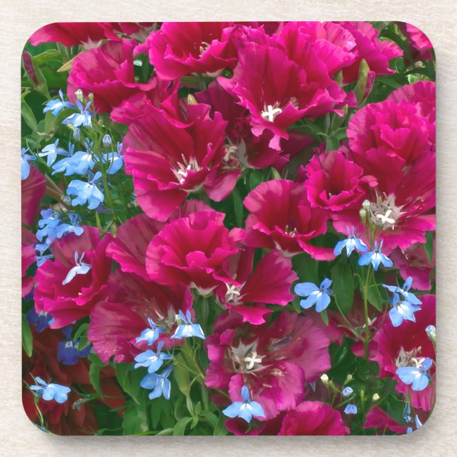 Dessous de verre Godetia Et Lobelia (Devant)