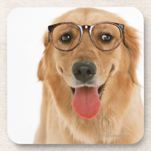 Dessous-de-verre Golden retriever 3