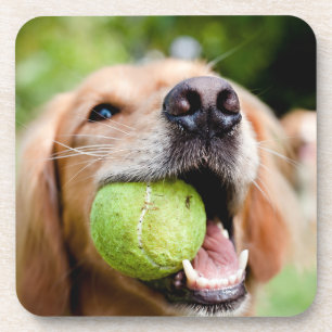 Dessous-de-verre Golden Retriever Avec Le Bal De Tennis