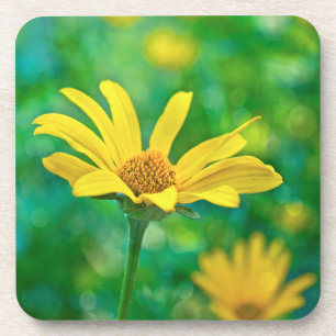 Dessous-de-verre Goldie