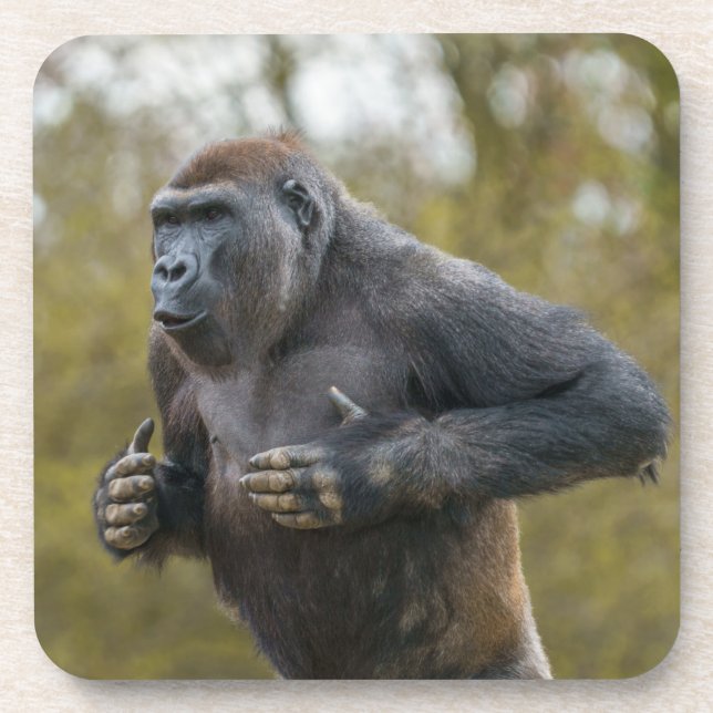 Dessous-de-verre Gorille de la balle dans la poitrine (Devant)