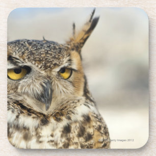 Dessous-de-verre Grand hibou à cornes (virginianus de Bubo), capti