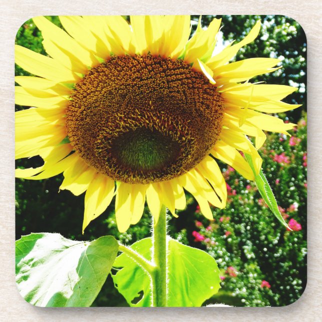 Dessous-de-verre Grand tournesol jaune (Devant)