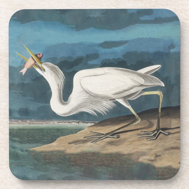 Dessous-de-verre Grande Peinture de la faune d'Audubon Heron blanc (Devant)