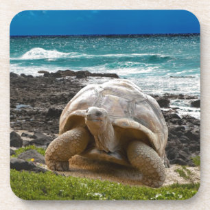 Dessous-de-verre Grande tortue au bord de mer