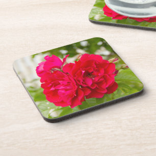 Dessous-de-verre Grandes roses rouges dans le jardin
