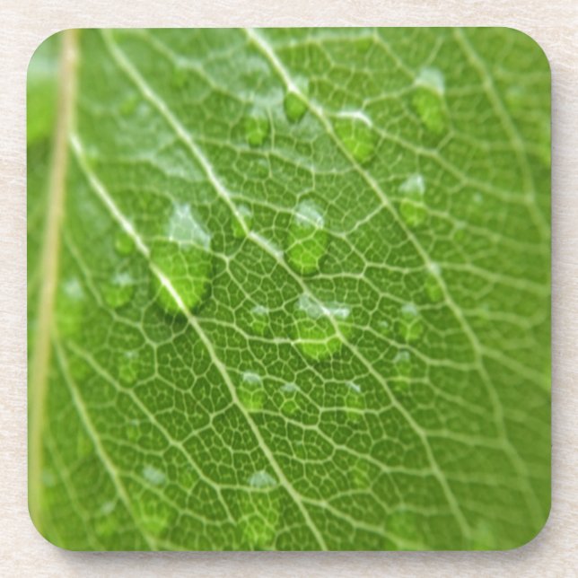 Dessous-de-verre Green leaf (Devant)