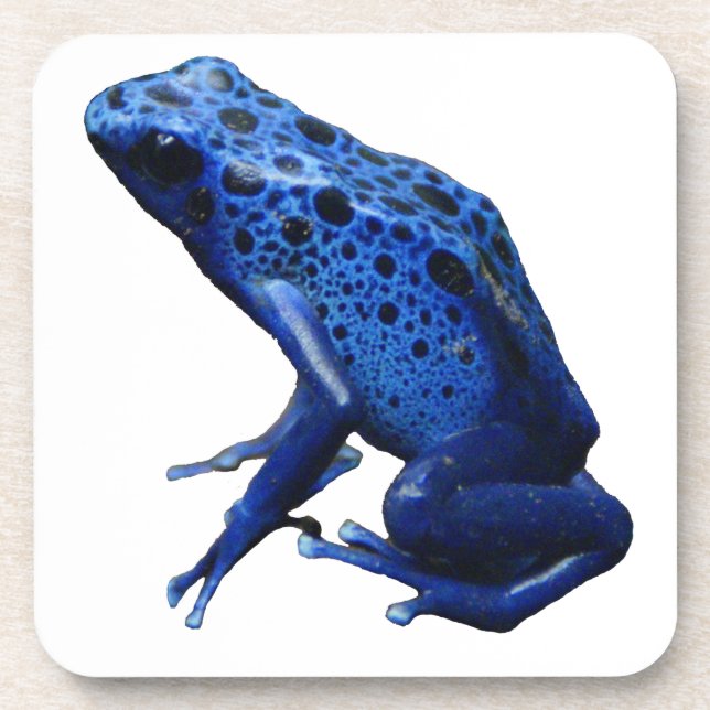 Dessous-de-verre Grenouille à tarte à poison bleu (Devant)