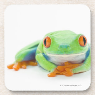 Dessous-de-verre Grenouille d'arbre aux yeux rouges (Agalychnis