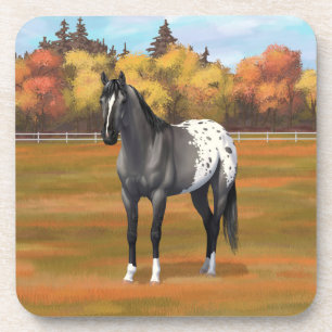 Dessous-de-verre Gris Grulla Appaloosa Quartier Horse Stallion