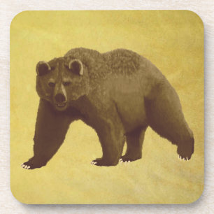 Dessous-de-verre Grizzly Bear