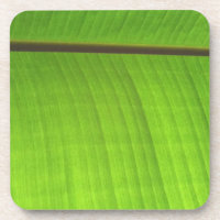 Gros plan de la feuille de banane