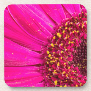 Dessous-de-verre Gros plan d'une marguerite de Gerber