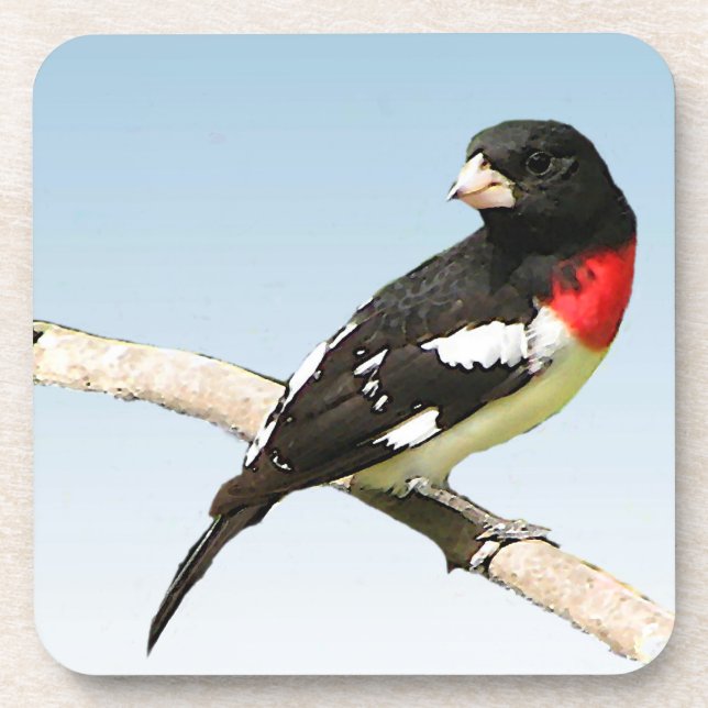 Dessous-de-verre Grosbeak à poitrine rose (Devant)