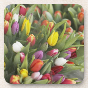Dessous-de-verre Groupes de tulipes colorées