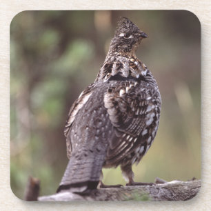 Dessous-de-verre grouse