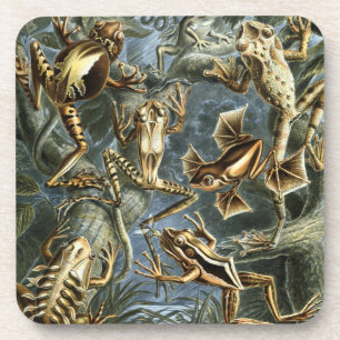 Dessous-de-verre Haeckel Frogs