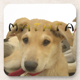 Dessous-de-verre "Hakuna Matata Pup" - Insouciant Amour des chiots