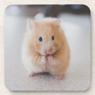 Dessous-de-verre Hamster mignon
