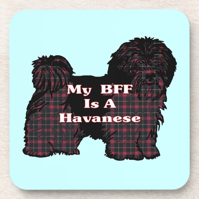 DESSOUS-DE-VERRE HAVANESE BFF (Devant)