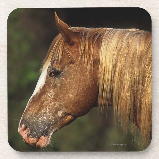 Dessous-de-verre Headshot 1 de cheval d'Appaloosa (Devant)