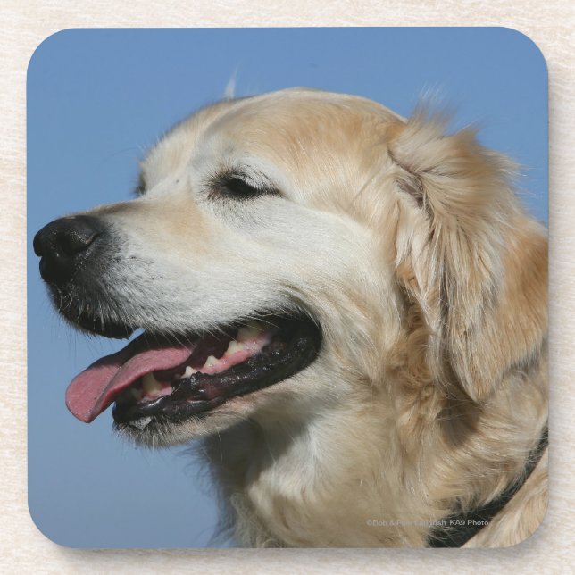 Dessous-de-verre Headshot 4 de golden retriever (Devant)