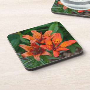 Dessous-de-verre Hémérocalle orange Photographie de fleurs canadien