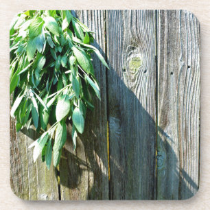 Dessous-de-verre Herbes vertes botaniques à grains de bois affaissé