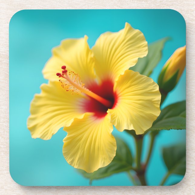 Dessous-de-verre Hibiscus jaune délicat (Devant)