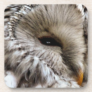 DESSOUS-DE-VERRE HIBOU