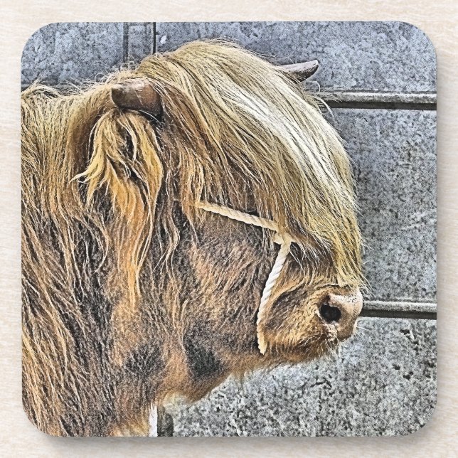 DESSOUS-DE-VERRE HIGHLAND VW (Devant)