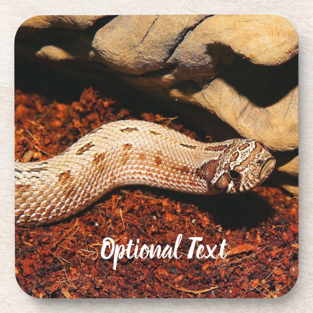 Dessous-de-verre Hognose Pet Snack (Devant)