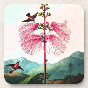 Dessous-de-verre Hummingbirds mimosa arbre oiseau de fleurs vintage