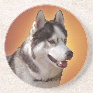 Dessous de verre Husky Dessous de verre Husky Mala