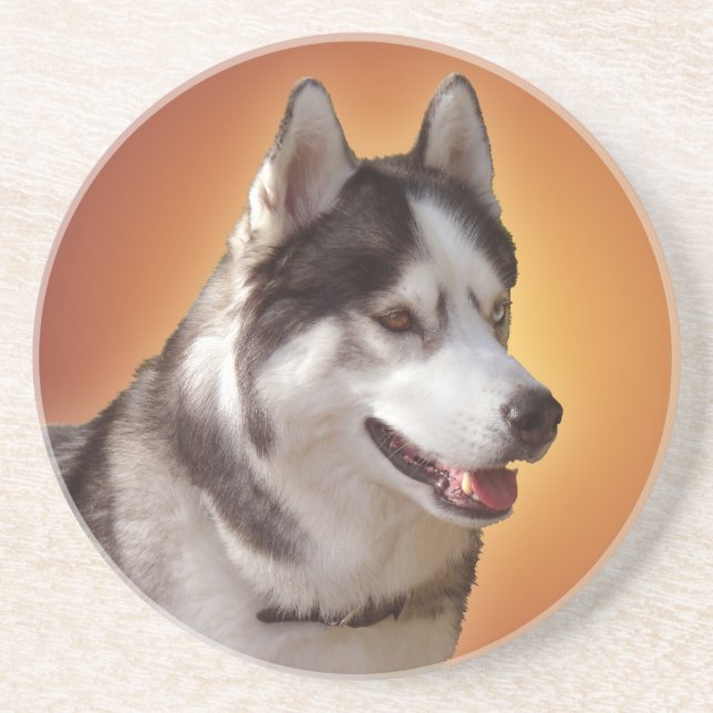 Dessous de verre Husky Dessous de verre Husky Mala (Devant)