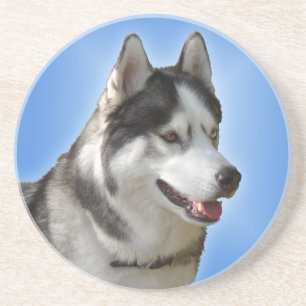Dessous de verre Husky Dessous de verre Husky Mala