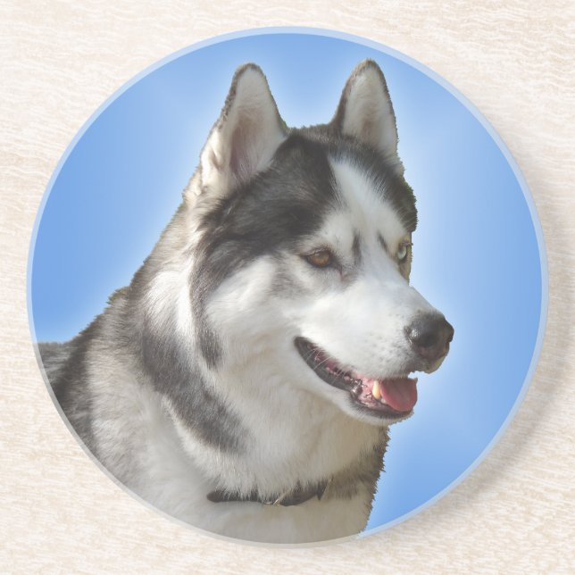 Dessous de verre Husky Dessous de verre Husky Mala (Devant)