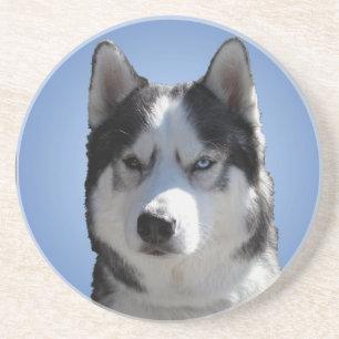 Dessous de verre Husky Dessous de verre Husky Mala