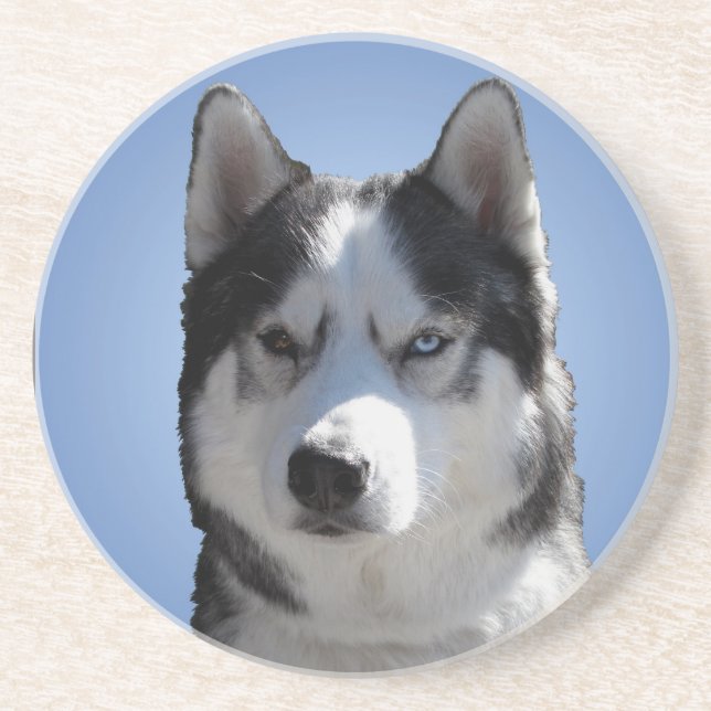 Dessous de verre Husky Dessous de verre Husky Mala (Devant)