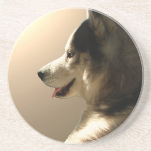 Dessous de verre Husky personnalisé Husky Chien Ch