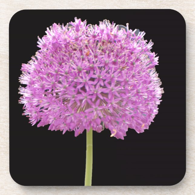 Dessous-de-verre Illium Summer Spring Flower - Irish Design (Devant)