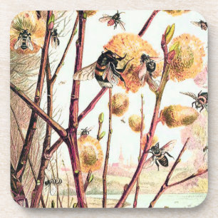 Dessous de verre illustration vintage abeille à mi