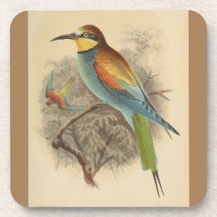Dessous-de-verre Illustration vintage de l'Abeille européenne