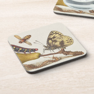Dessous-de-verre Insectes de jardin, mouche, chenille, poire, mille